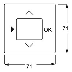 Busch-Jaeger Zentralscheibe champ f.Timer-Bedienelem. 6435-79