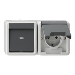 Gira Schuko-We.schalter-Kombi gr, waager., AP-WG 017730