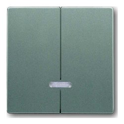 Busch-Jaeger Bedienelement m. Glimmlampe. mete 6545-803