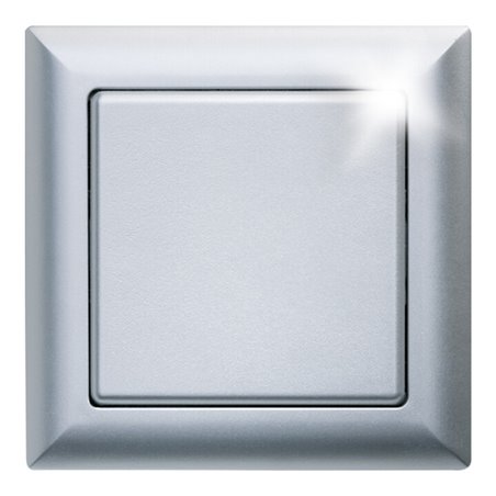 Eltako Funktaster alu lackiert FT55-al