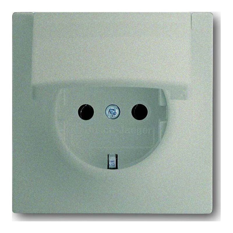 Busch-Jaeger Steckdosen-Einsatz cha 20 EUK-79