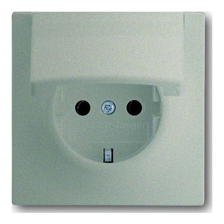 Busch-Jaeger Steckdosen-Einsatz cha 20 EUK-79