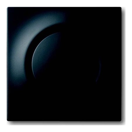 Busch-Jaeger Zentralscheibe sw mt für Drehdimmer 6540-775