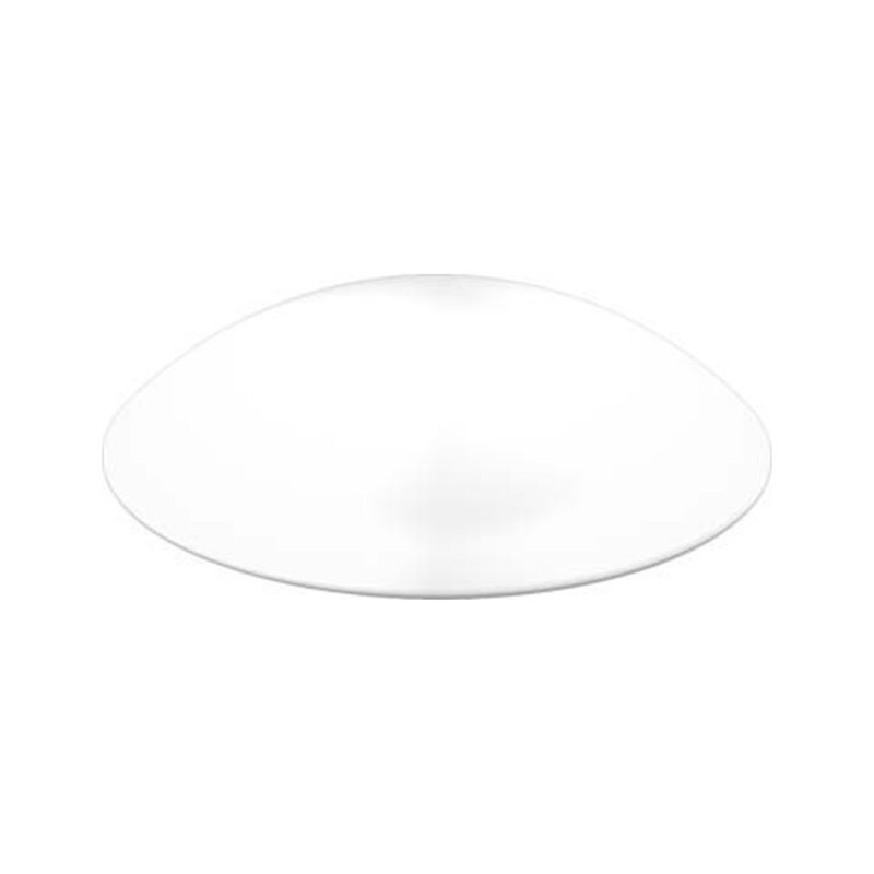 RZB Ersatzglas opal-mt D420mm 05-211011.002