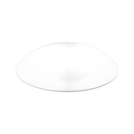 RZB Ersatzglas opal-mt D420mm 05-211011.002