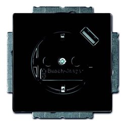 Busch-Jaeger Schuko/USB-Steckdose anthrazit 20 EUCBUSB-81