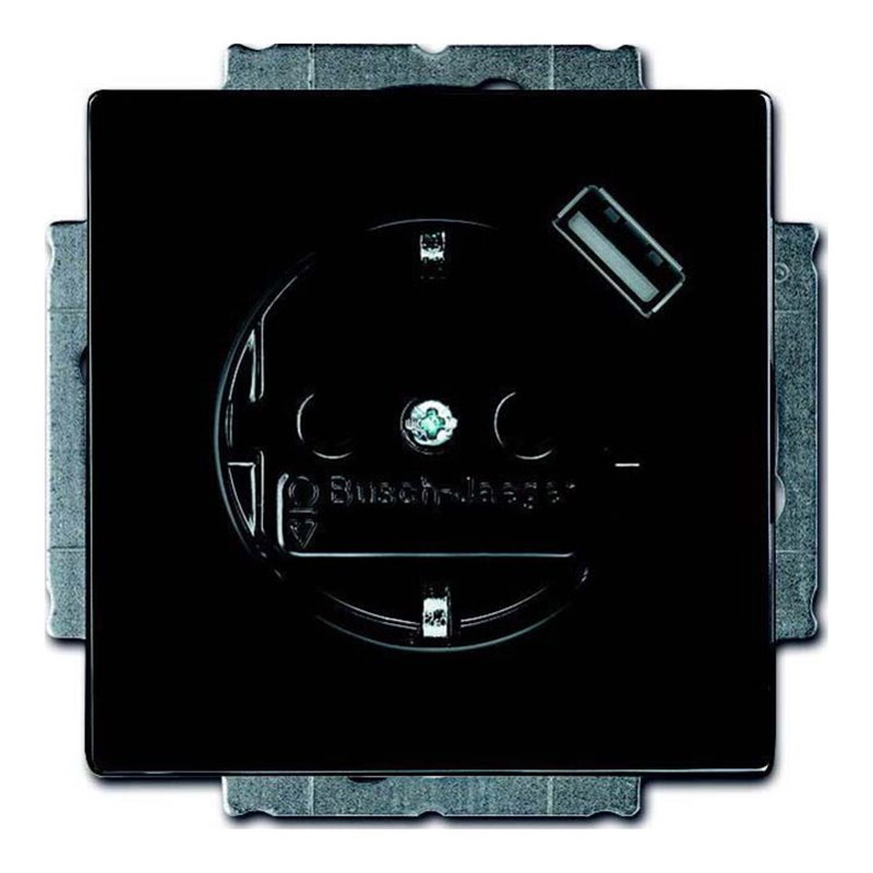 Busch-Jaeger Schuko/USB-Steckdose anthrazit 20 EUCBUSB-81