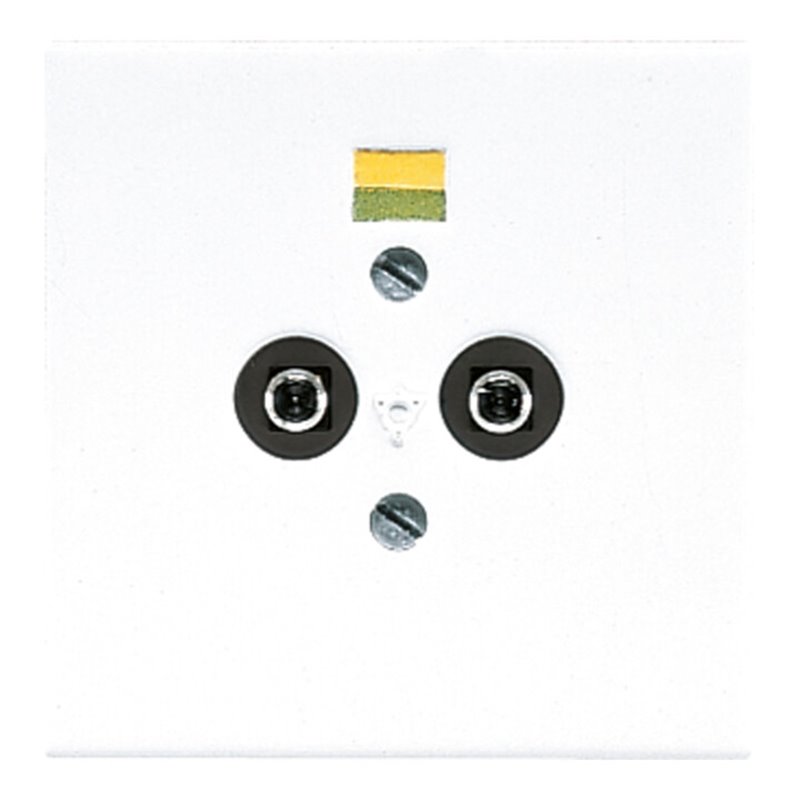 Jung Potential-Ausgl.Steckdose 2 Steckerstifte LS 965-2 WW