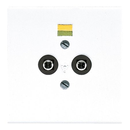 Jung Potential-Ausgl.Steckdose 2 Steckerstifte LS 965-2 WW