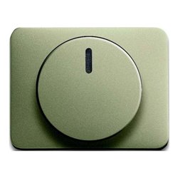 Busch-Jaeger Zentralscheibe pall für Drehdimmer 6540-260