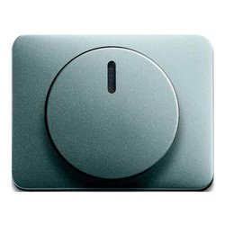 Busch-Jaeger Zentralscheibe ti für Drehdimmer 6540-266