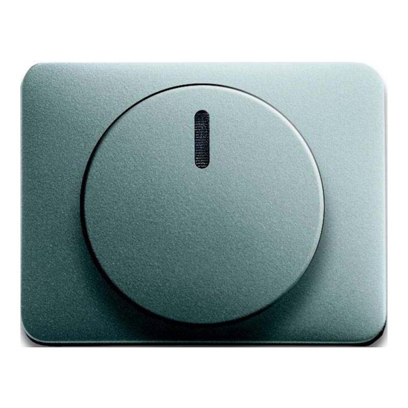 Busch-Jaeger Zentralscheibe ti für Drehdimmer 6540-266