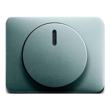 Busch-Jaeger Zentralscheibe ti für Drehdimmer 6540-266