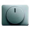 Busch-Jaeger Zentralscheibe ti für Drehdimmer 6540-266