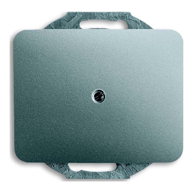 Busch-Jaeger Zentralscheibe ti m.Tragr.f.Ltgsauslaß 1749-266