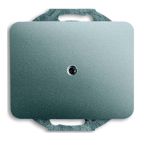 Busch-Jaeger Zentralscheibe ti m.Tragr.f.Ltgsauslaß 1749-266