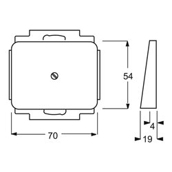 Busch-Jaeger Zentralscheibe ti m.Tragr.f.Ltgsauslaß 1749-266