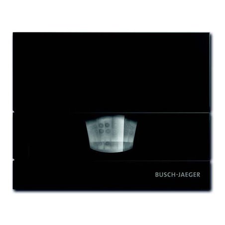 Busch-Jaeger Wächter anthr 110 MasterLINE 6855 AGM-35