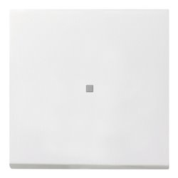 Gira Tast-Kontrollschalt. rwsgl 0136112