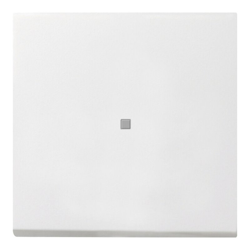 Gira Tast-Kontrollschalt. rwsgl 0136112