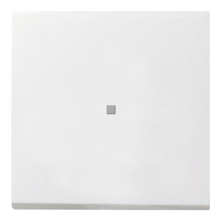 Gira Tast-Kontrollschalt. rwsgl 0136112