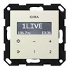 Gira UP-Radio RDS o. Lautsprecher cws 228401