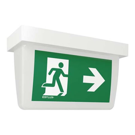 ESYLUX LED-Notleuchte ws 3h, f.AP-/Deckenmon. SLXELLEDEN10077357