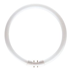 Philips Lighting Leuchtstofflampe 22W wws ringförmig TL5 C 22W/830