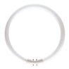 Philips Lighting Leuchtstofflampe 22W wws ringförmig TL5 C 22W/830