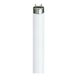Philips Lighting Leuchtstofflampe 15W 3000K G13 TL-D 15W/830