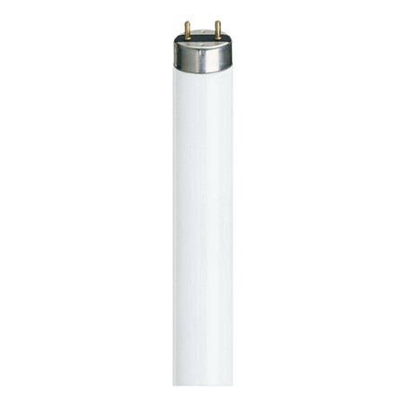 Philips Lighting Leuchtstofflampe 15W 3000K G13 TL-D 15W/830