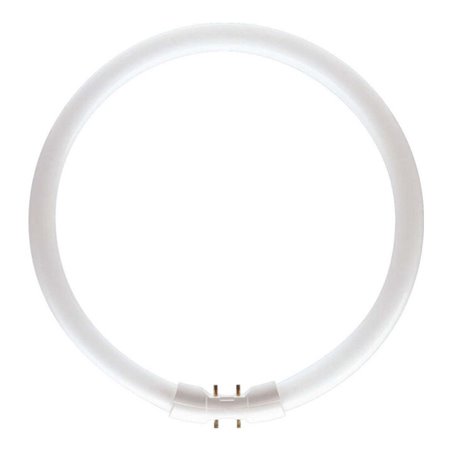 Philips Lighting Leuchtstofflampe 60W wws ringförmig TL5 C 60W/830