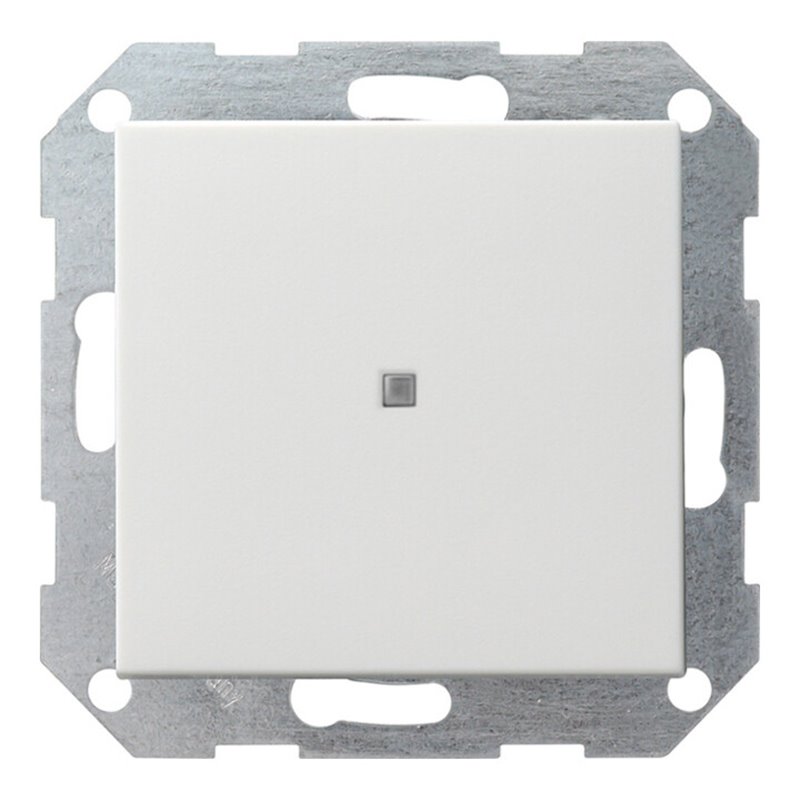 Gira Tast-Kontrollschalt. rwsgl 0124201