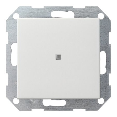 Gira Tast-Kontrollschalt. rwsgl 0124201