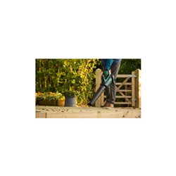 Bosch Akku-Laubbläser AdvancedLeafBlower 36V-750, 1 Akku, Ladegerät