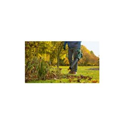 Bosch Akku-Laubbläser AdvancedLeafBlower 36V-750, 1 Akku, Ladegerät