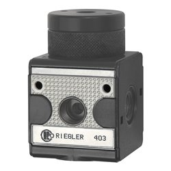Riegler Druckregler pneumatisch ferngesteuert »multifix«, BG 1, G 1/4