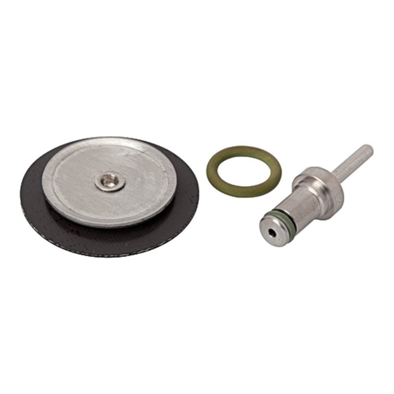 Riegler Verschleißteilesatz, für Edelstahl-Druckregler, 1.4571, G 1/4