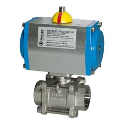 Riegler ES-Kuha, pneumat. Stellantrieb, doppeltwirkend, Rp 2, DN 50