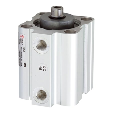 Riegler Kurzhubzylinder, doppeltwirk., Magnet, Kolben-Ã˜ 50, Hub 10, G 1/8