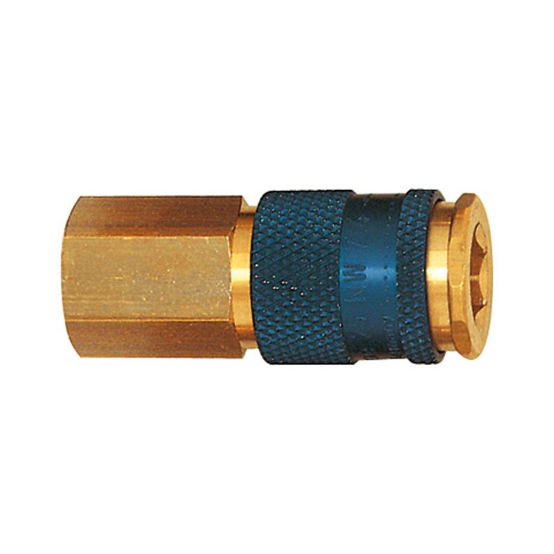 Riegler Unverwechselbare Schnellverschlusskupplung NW 7,8, G 1/4 IG braun