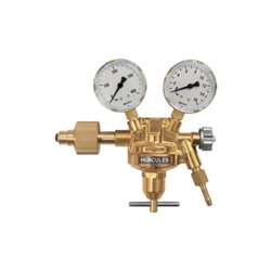 Riegler Flaschendruckregler, 300 bar, Stickstoff, Arbeitsdruck 0 - 20 bar