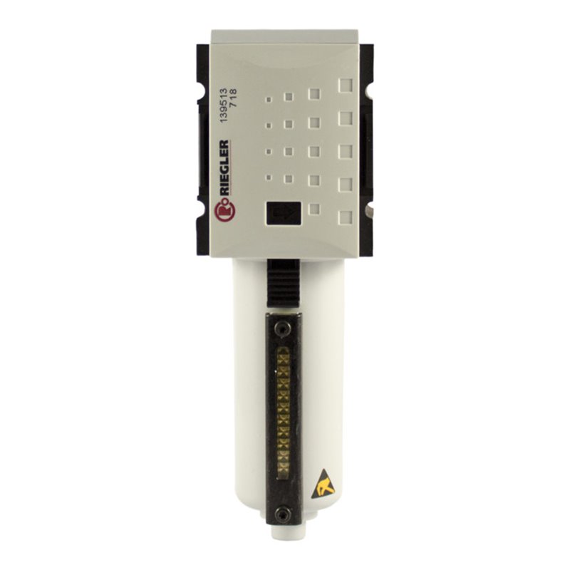 Riegler Aktivkohlefilter »FUTURA«, Metallbehälter, Sichtrohr, BG 2, G 3/8