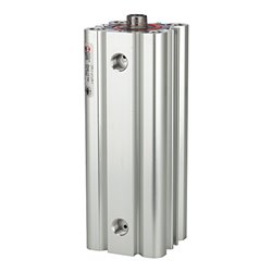 Riegler Kompaktzylinder LINER, doppeltwirk., IG, Kol.-Ã˜ 32, Hub 20, G 1/8