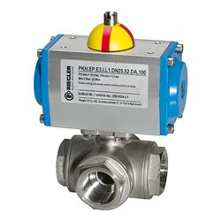 Riegler ES-Kuha, pneumat. Stellantrieb doppeltwirk., T-Bohrung T2, Rp 2