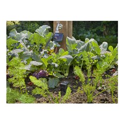 Gardena smart Sensor Control Set