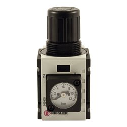 Riegler Druckregler »FUTURA-mini«, Kompaktmano., BG 0, G 1/4, 0,5-10 bar