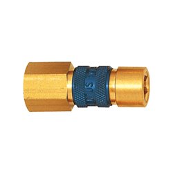 Riegler Unverwechselbare Schnellverschlusskupplung NW 5, G 1/8 IG, blau