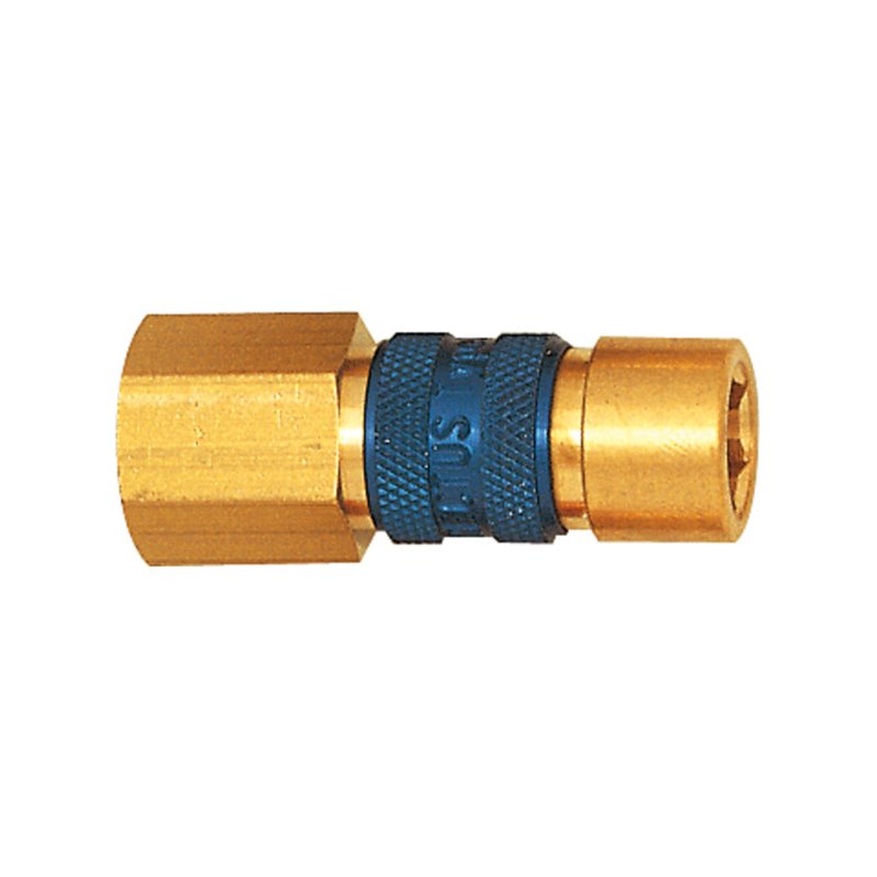 Riegler Unverwechselbare Schnellverschlusskupplung NW 5, G 1/8 IG, blau