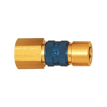 Riegler Unverwechselbare Schnellverschlusskupplung NW 5, G 1/8 IG, blau